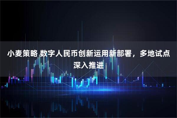 小麦策略 数字人民币创新运用新部署，多地试点深入推进